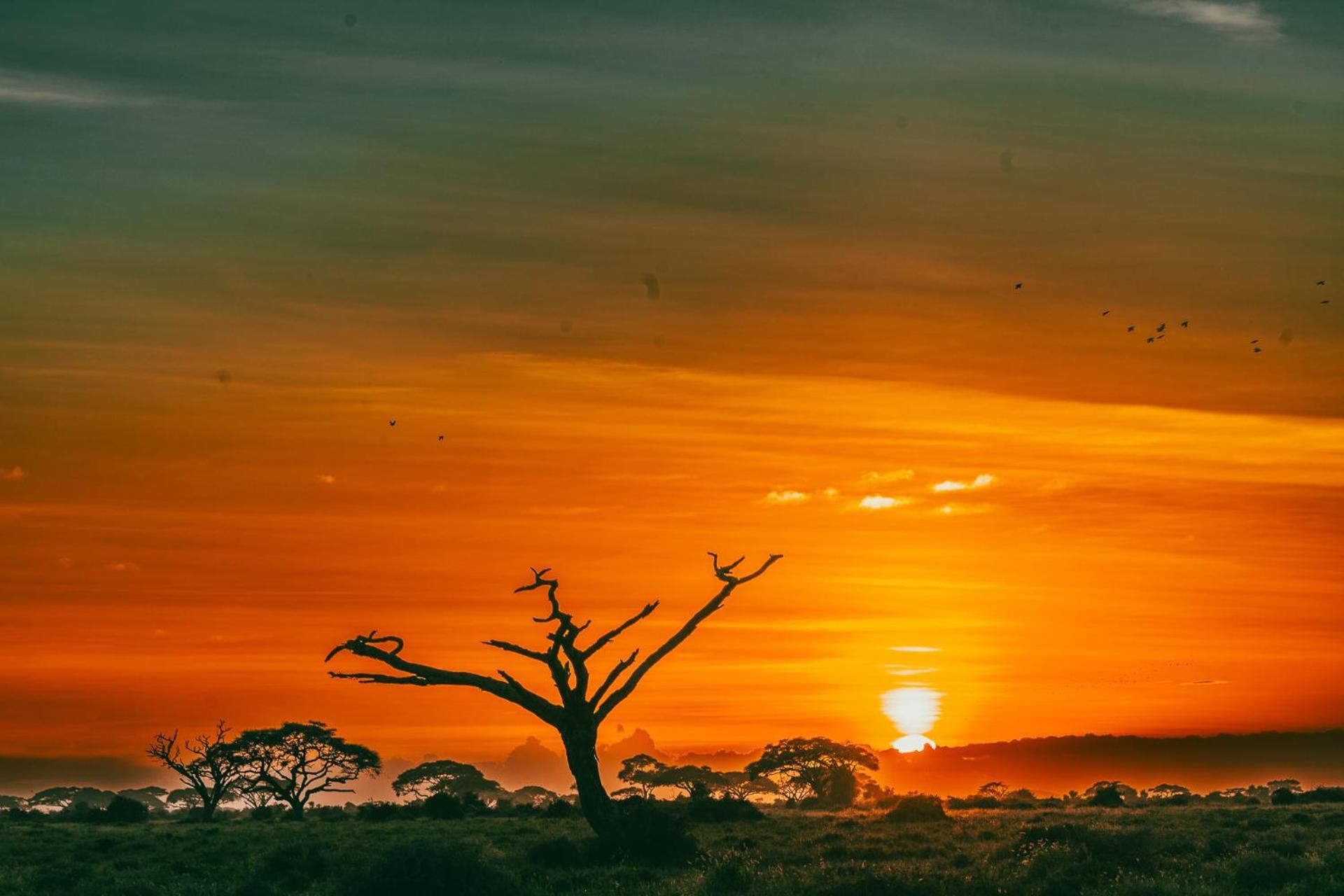 Kilimanjaro View Cabin-Amboseli Oloitokitok Rum bild