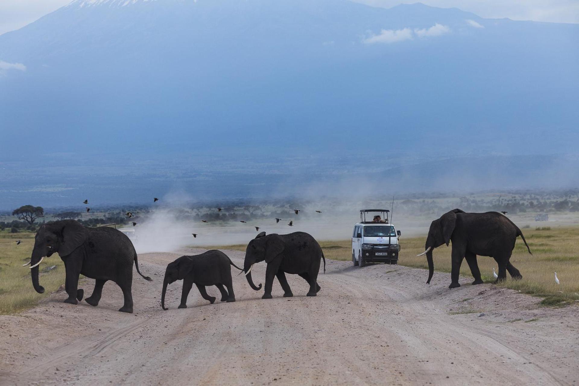 Kilimanjaro View Cabin-Amboseli Oloitokitok Rum bild
