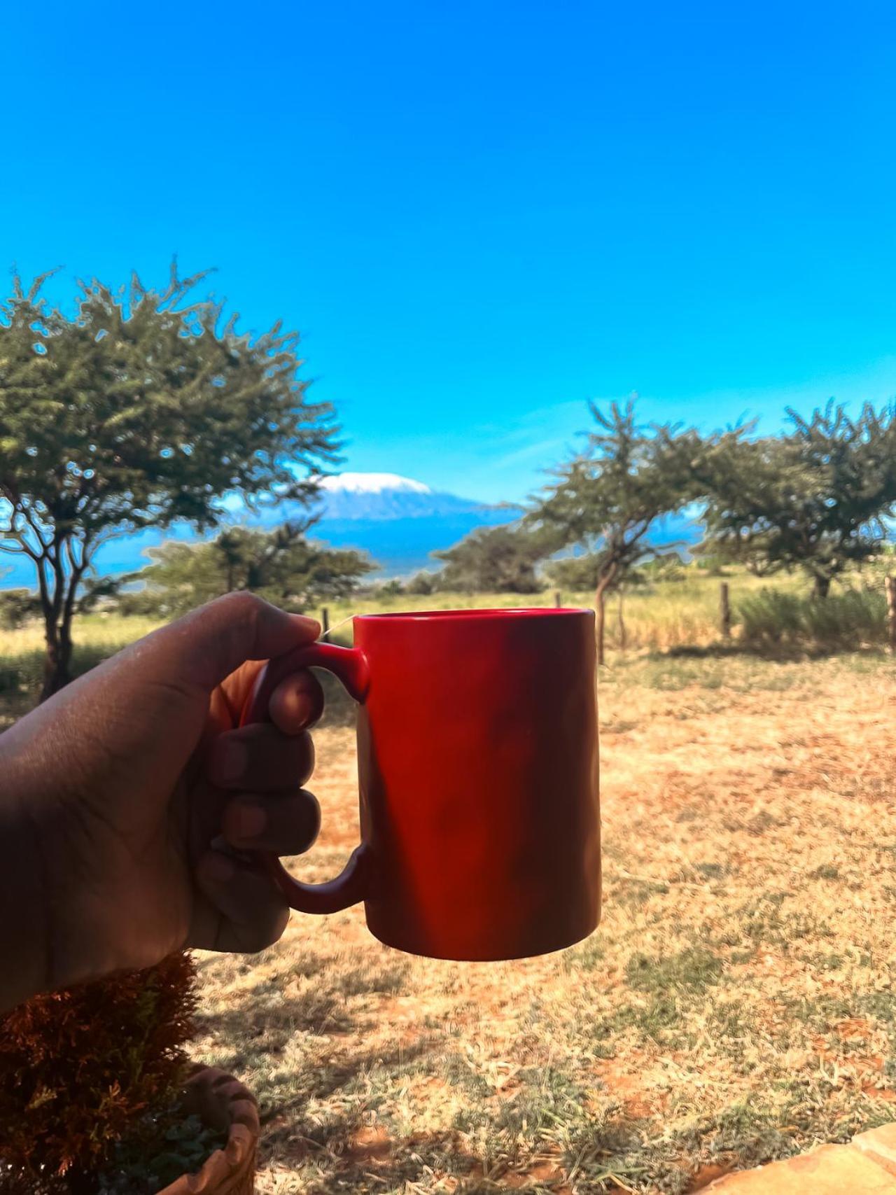 Kilimanjaro View Cabin-Amboseli Oloitokitok Rum bild